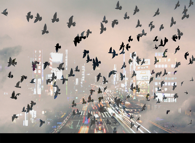 contemporary urban landscape city birds