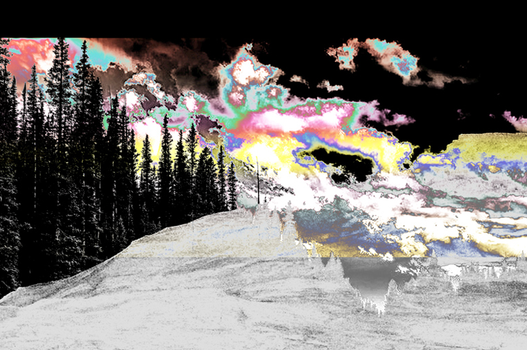 contemporary art landscape forest