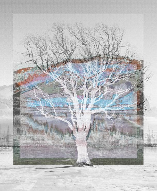 contemporary art landscape nature tree