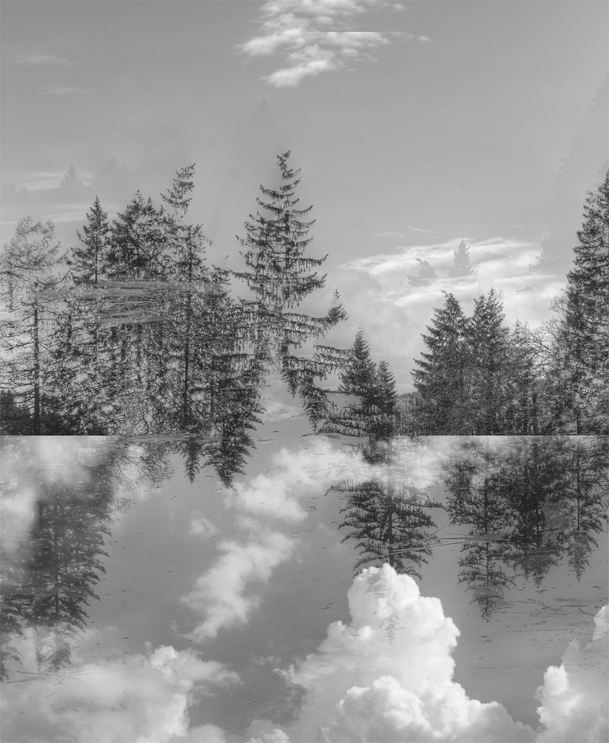 contemporary urban landscape forest